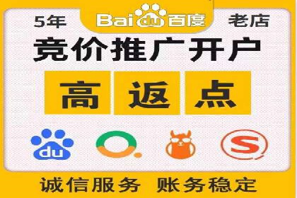 案例解析：SEM投放助力电商增长